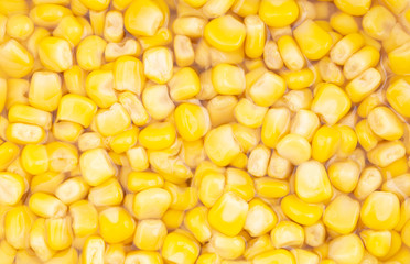 Canned corn in juice as background