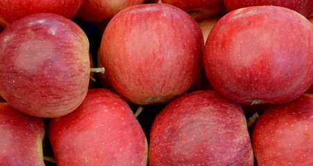organic and fresh red apples in the market