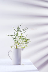 Fresh flower twigs of Gypsophila plant in glass vase on a table covered textile cloth against wall with shadows from jalousie.