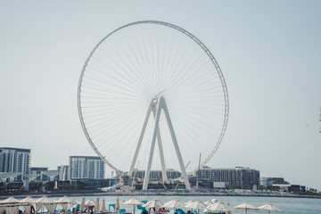 ferris wheel at the beach
