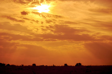 Sunset in Maasai Mara national park. Sun behind the clouds. (2)