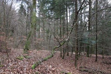 Oberfranken in der Nähe von Obertrubach