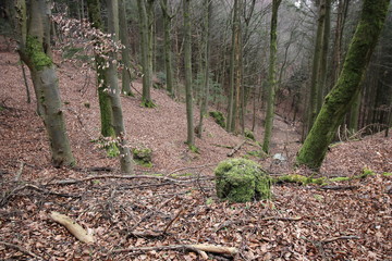 Oberfranken in der Nähe von Obertrubach