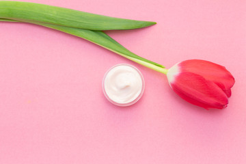 Spring skin care. Tulip and jar of cream on a pink background.