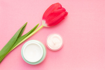 Spring skin care. Tulip and jar of cream on a pink background.