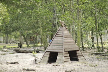 old wooden house in the forest