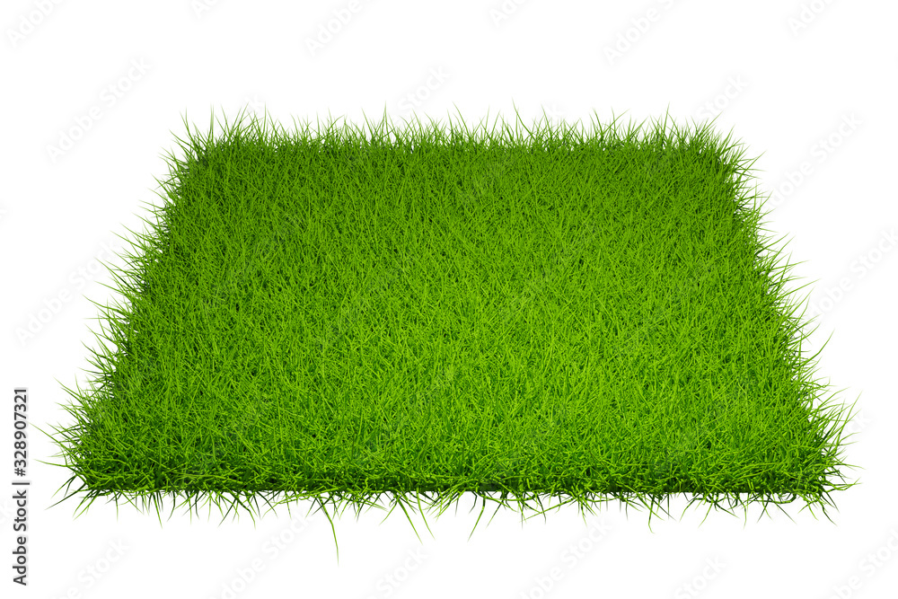 Poster grass field isolated on white background with clipping path