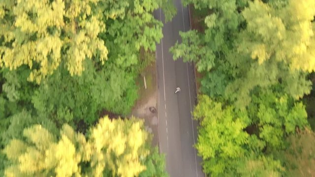 Man on inline skates enjoying forest road - overhead aerial footage