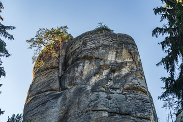 Adrspach Teplice rocks, the sandstone landscape in Bohemia, Czech Republic. Cliffs and mountains in Adr&scaron;pach-Teplice Rocks. Adersbach-Weckelsdorfer Felsenstadt, Europe hills.