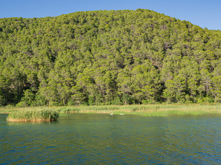 Vistas verdes del Parque Natural Krka en Croacia, Patrimonio de la Humanidad, verano de 2019