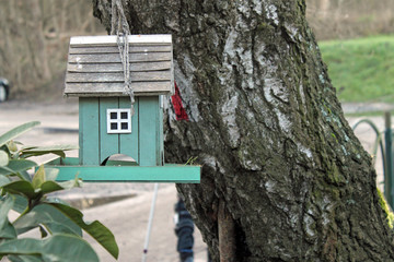 Kleines grünes Vogelhaus am Birkenzweig