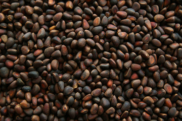 Pine nuts in shells as a background, Copy space Top view