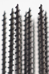 A lot of black long self-tapping screws stand upright on a white background. Close-up. Hardware, ironware, ironmongery, fasteners, materials for construction and repair. Vertical shot. Macro