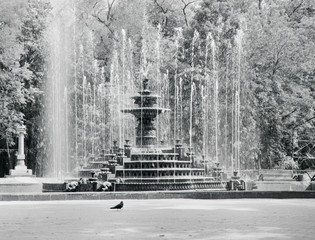 Fountain in the Park. Monument to Alexander Pushkin. Photographed on film, medium format.