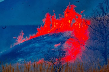 野焼き