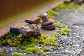 Close up and macro outdoor view at abandon and rusty bolt, screw and screw nut beside rust light rail steel beam covered in algae. 