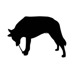 big dog bitting stick from the side silhouette vector isolated on white background