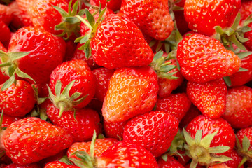 Freshly picked organic strawberries.
