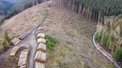 Holzsammelstelle Luftbild nach Baumfällung Sturmschäden