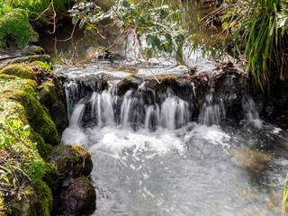 Fototapeta na wymiar Small waterfall in a stream running through Peasholm Park, Scarborough, North Yorkshire, England
