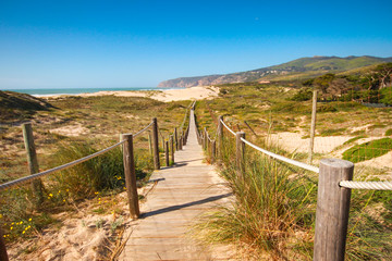 Fototapeta na wymiar Wooden pathway over the dunes