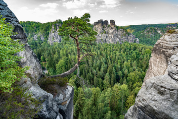 Bad Schandau in Bohemian Switzerland. Bastei bridge and mountain view. Narrow rock, natural sandstone arch in Europe..Hill scenery with greenery, blue sky and sunlight.
