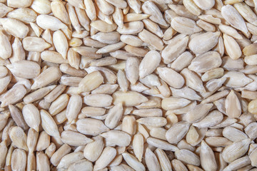 background of sunflower seeds, closeup, macrophotography