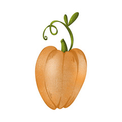 Pumpkin with a green tail and a leaf textural cute digital art. Print for cards, banners, posters, web, invitations, stickers, fabrics, wrapping paper.