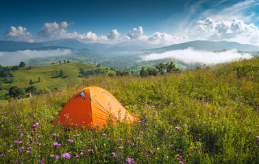 Orange camping tent on a summer meadow © Bashkatov