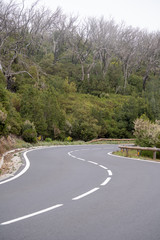 Fototapeta premium La Gomera Valle Gran Rey Kanaren