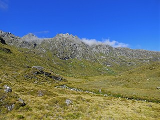 Routebourn track, Fiordland national park, New Zealand