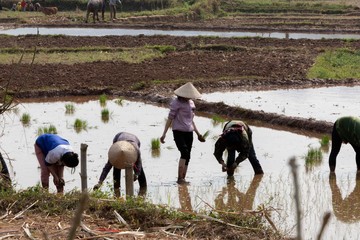 New HD pictures travel to Vietnam 2020