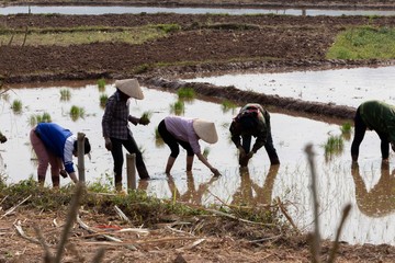 New HD pictures travel to Vietnam 2020