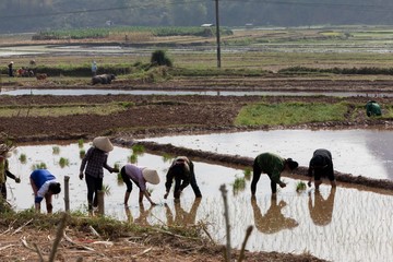 New HD pictures travel to Vietnam 2020