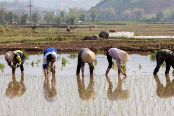 New HD pictures travel to Vietnam 2020