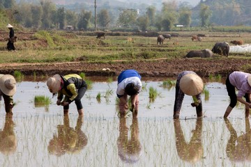New HD pictures travel to Vietnam 2020