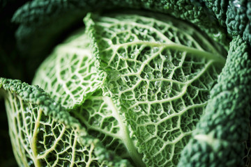 Raw green cabbage texture. Organic savoy cabbage background. Vegan and vegetarian diet concept