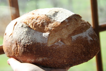 Big round traditional french loaf of bread