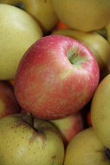 Green and pink sweet delicious apples 