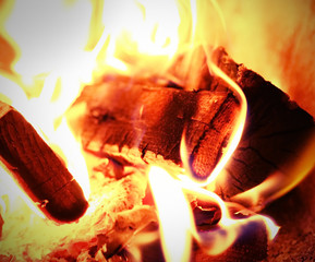wood and flame of fire