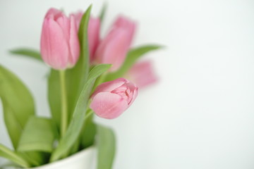Spring is here: pink tulip bouquet