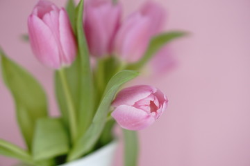 Spring is here: pink tulip bouquet