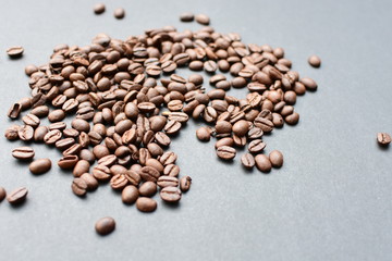 Colombian coffee beans, displayed in containers on black background