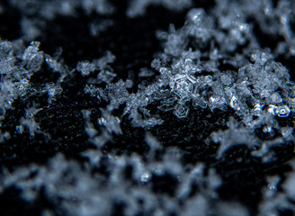 Beautiful Snowflakes on Black Background