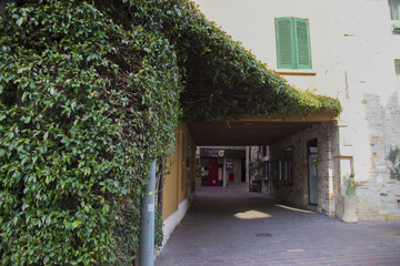 old house in garden