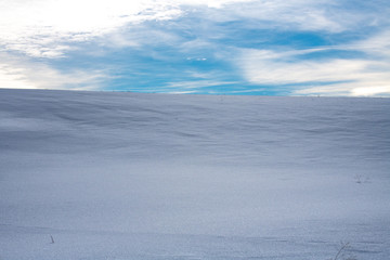 A Serene Snowy Pasture at Sunrise