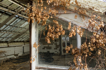 Blick in eine alte Zeit