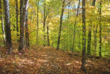 Impressionistic Style Artwork of Autumn Colors Hidden Deep in the Green Forest