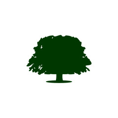 Abstract oak tree on white background