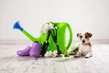 Garden accessories. Gardening